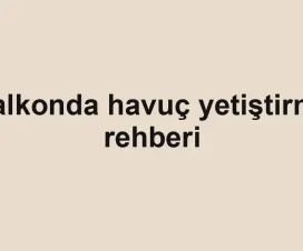 Balkonda havuç yetiştirme rehberi
