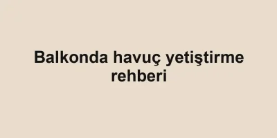 Balkonda havuç yetiştirme rehberi