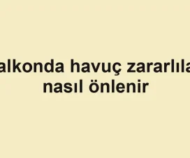 Balkonda havuç zararlıları nasıl önlenir