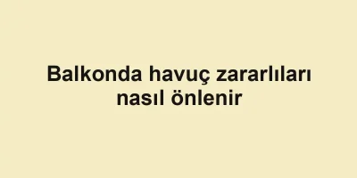 Balkonda havuç zararlıları nasıl önlenir