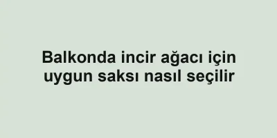 Balkonda incir ağacı için uygun saksı nasıl seçilir