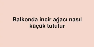 Balkonda incir ağacı nasıl küçük tutulur