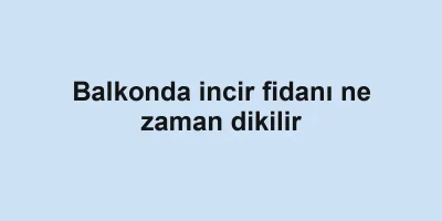 Balkonda incir fidanı ne zaman dikilir