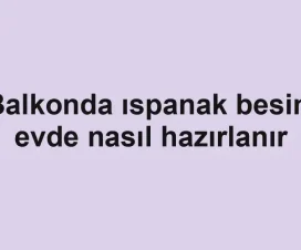 Balkonda ıspanak besini evde nasıl hazırlanır