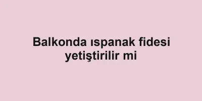 Balkonda ıspanak fidesi yetiştirilir mi