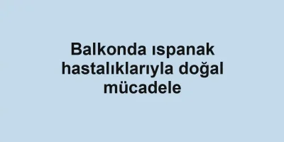 Balkonda ıspanak hastalıklarıyla doğal mücadele