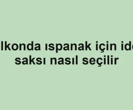 Balkonda ıspanak için ideal saksı nasıl seçilir