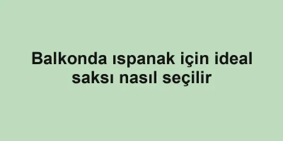 Balkonda ıspanak için ideal saksı nasıl seçilir