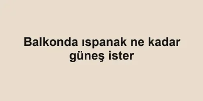 Balkonda ıspanak ne kadar güneş ister