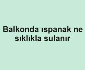 Balkonda ıspanak ne sıklıkla sulanır