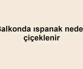 Balkonda ıspanak neden çiçeklenir