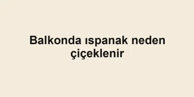Balkonda ıspanak neden çiçeklenir