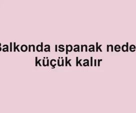Balkonda ıspanak neden küçük kalır
