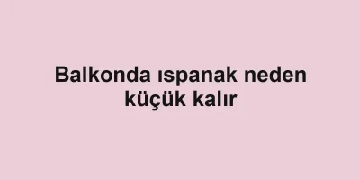 Balkonda ıspanak neden küçük kalır