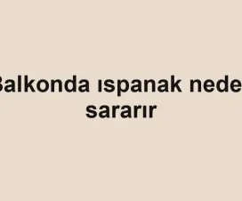 Balkonda ıspanak neden sararır