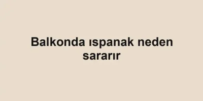 Balkonda ıspanak neden sararır