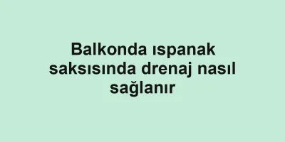 Balkonda ıspanak saksısında drenaj nasıl sağlanır