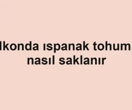 Balkonda ıspanak tohumları nasıl saklanır