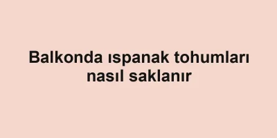Balkonda ıspanak tohumları nasıl saklanır