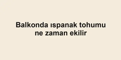 Balkonda ıspanak tohumu ne zaman ekilir