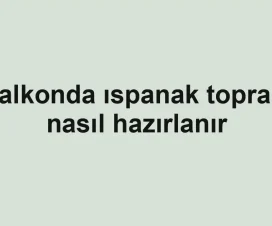Balkonda ıspanak toprağı nasıl hazırlanır