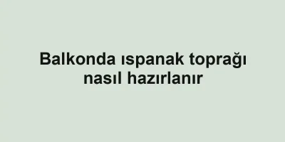Balkonda ıspanak toprağı nasıl hazırlanır