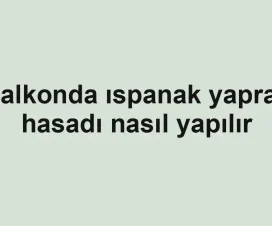 Balkonda ıspanak yaprak hasadı nasıl yapılır