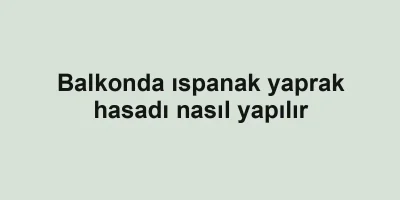 Balkonda ıspanak yaprak hasadı nasıl yapılır