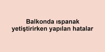 Balkonda ıspanak yetiştirirken yapılan hatalar