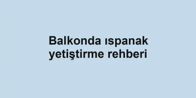 Balkonda ıspanak yetiştirme rehberi