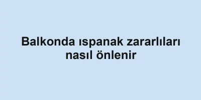 Balkonda ıspanak zararlıları nasıl önlenir