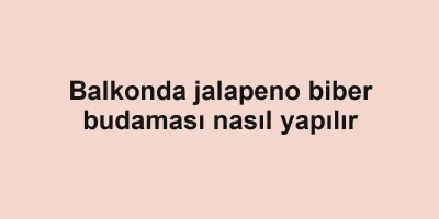 Balkonda jalapeno biber budaması nasıl yapılır