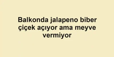 Balkonda jalapeno biber çiçek açıyor ama meyve vermiyor