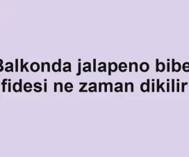 Balkonda jalapeno biber fidesi ne zaman dikilir