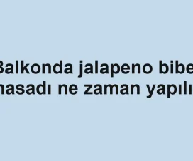 Balkonda jalapeno biber hasadı ne zaman yapılır