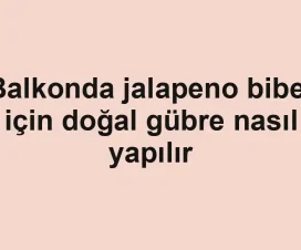 Balkonda jalapeno biber için doğal gübre nasıl yapılır