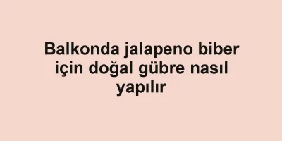 Balkonda jalapeno biber için doğal gübre nasıl yapılır