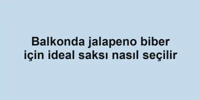 Balkonda jalapeno biber için ideal saksı nasıl seçilir