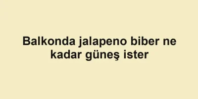 Balkonda jalapeno biber ne kadar güneş ister