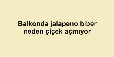 Balkonda jalapeno biber neden çiçek açmıyor