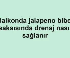 Balkonda jalapeno biber saksısında drenaj nasıl sağlanır