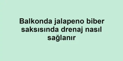 Balkonda jalapeno biber saksısında drenaj nasıl sağlanır