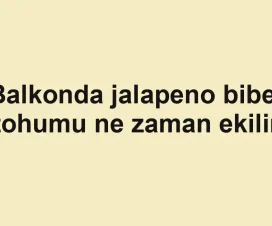 Balkonda jalapeno biber tohumu ne zaman ekilir