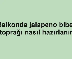 Balkonda jalapeno biber toprağı nasıl hazırlanır