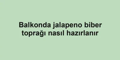 Balkonda jalapeno biber toprağı nasıl hazırlanır