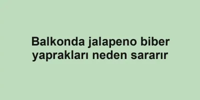 Balkonda jalapeno biber yaprakları neden sararır