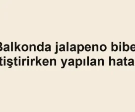 Balkonda jalapeno biber yetiştirirken yapılan hatalar