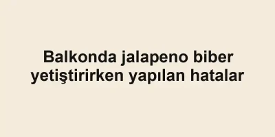 Balkonda jalapeno biber yetiştirirken yapılan hatalar