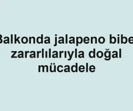 Balkonda jalapeno biber zararlılarıyla doğal mücadele