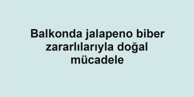 Balkonda jalapeno biber zararlılarıyla doğal mücadele